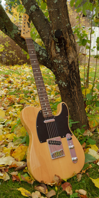 ESP 400 Series Telecaster (1992), Japan